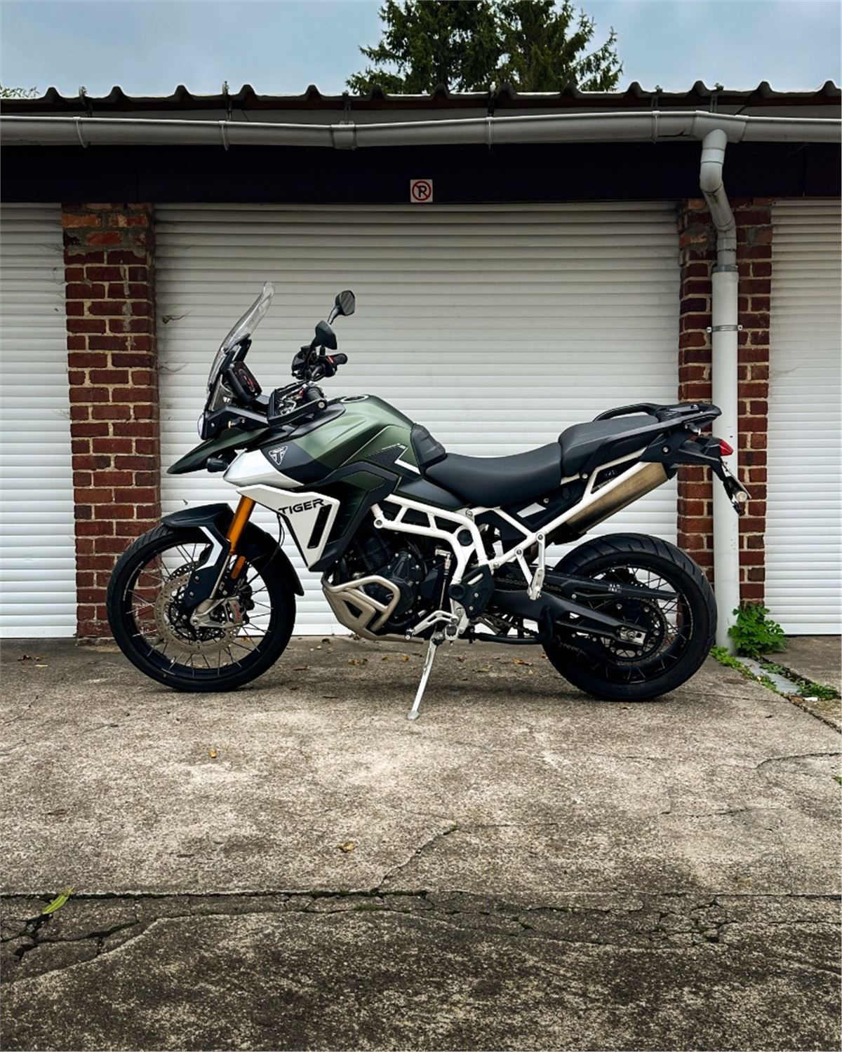 Tiger 900 Rally Pro ex demo