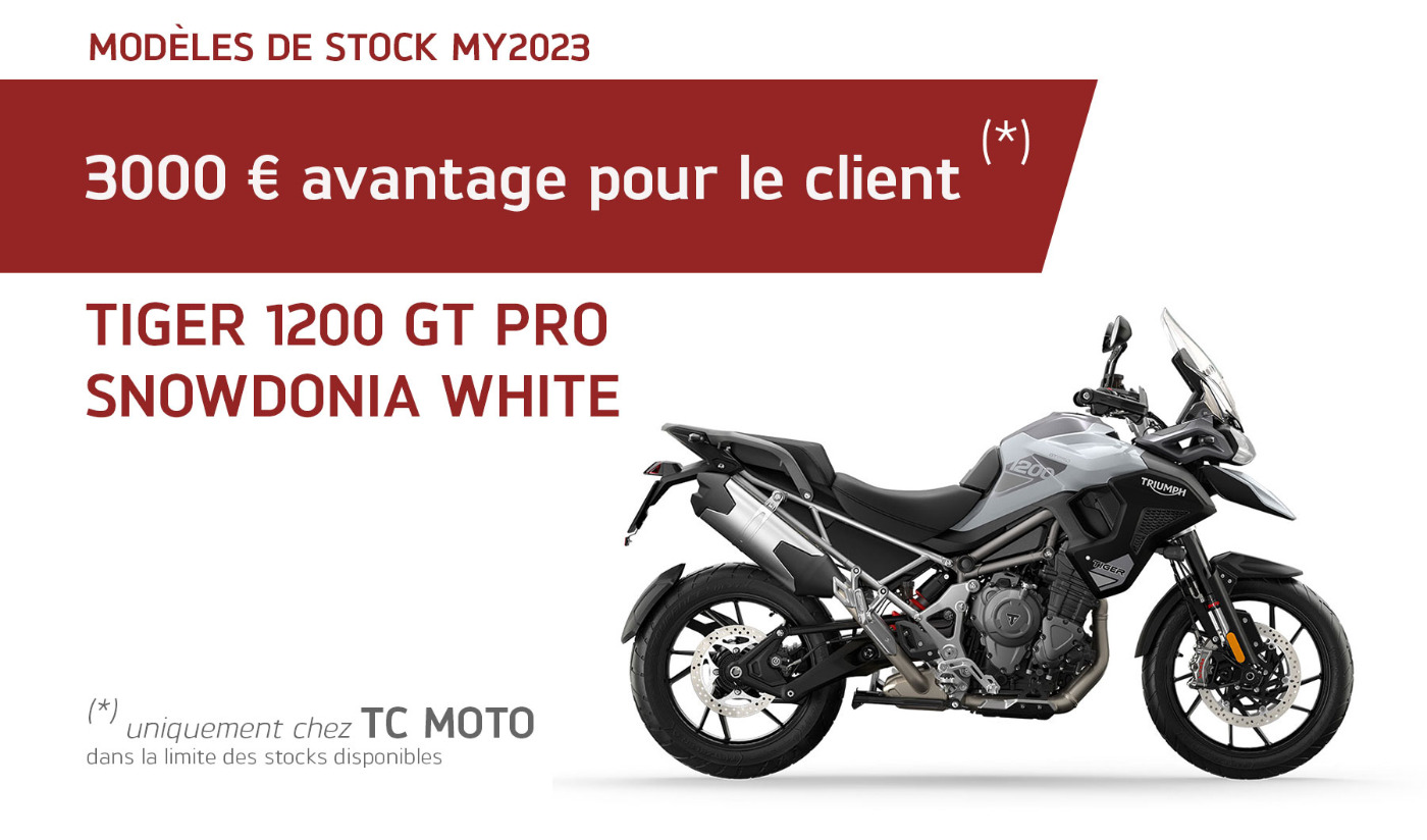 Stockmodel Tiger 1200 GT Pro Snowdonia White