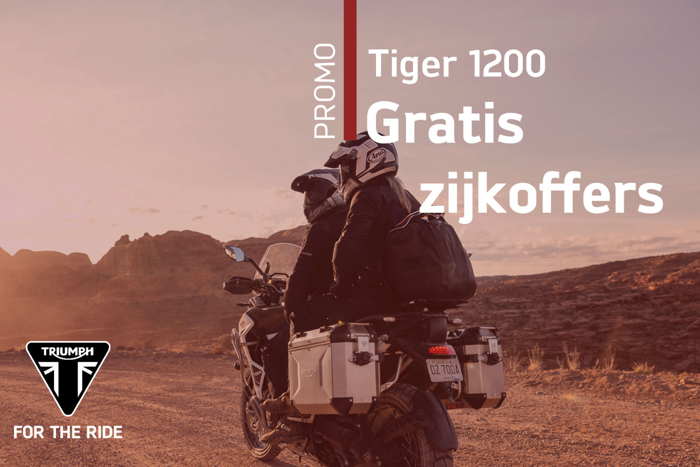 Promotie Tiger 1200 MY24